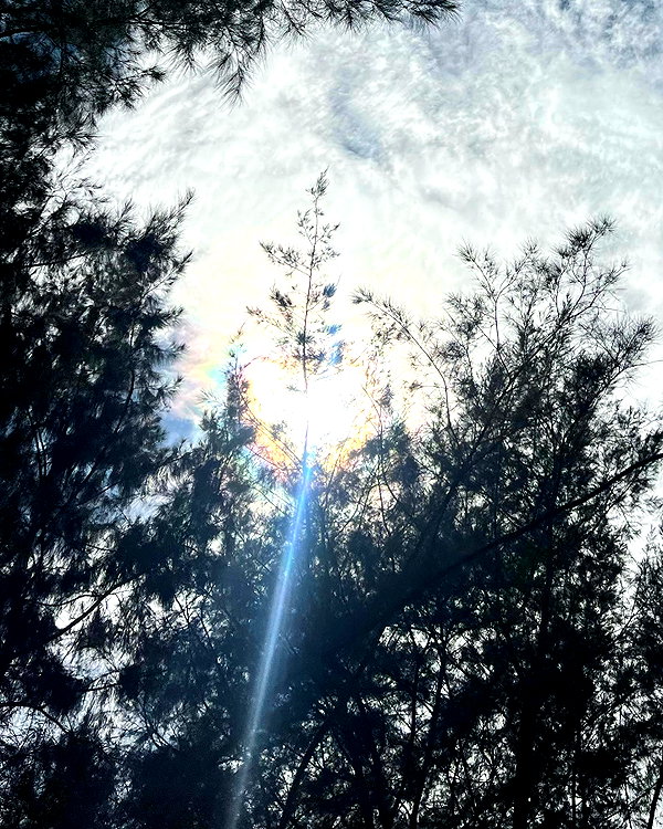 rynhanx instagram image archive image