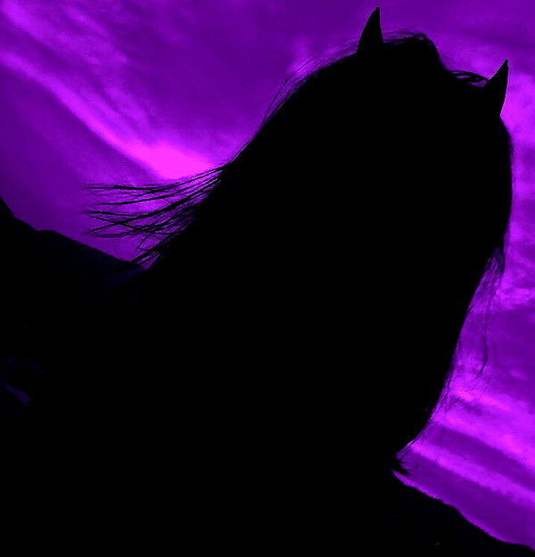 s0rabunny instagram image archive image