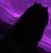 s0rabunny Altpins Profile Picture