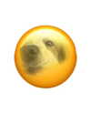 s0rabunny Altpins Profile Picture