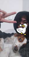 s0rabunny Altpins Profile Picture