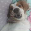 s0rabunny Altpins Profile Picture