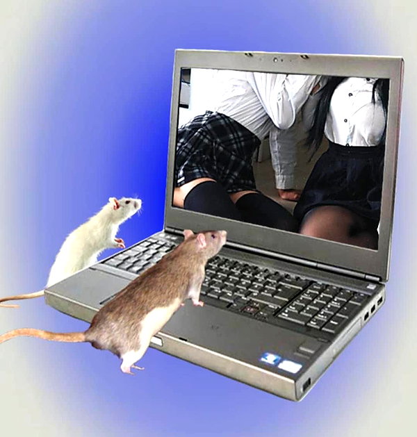 s0rabunny instagram image archive image
