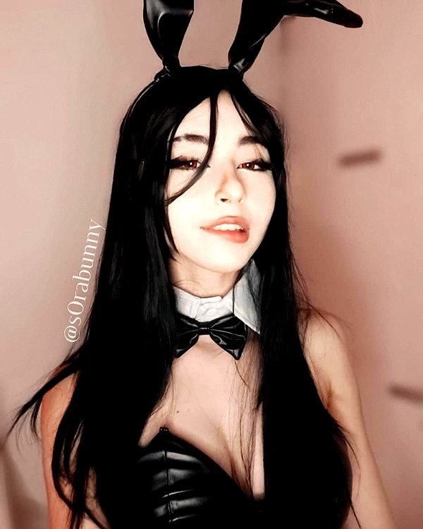 s0rabunny s0rabunny archive image