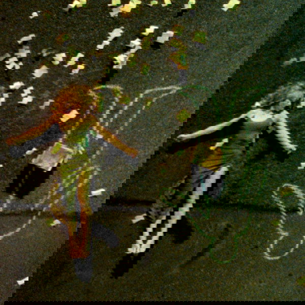 sabrinacarpenter sabrinacarpenter archive image