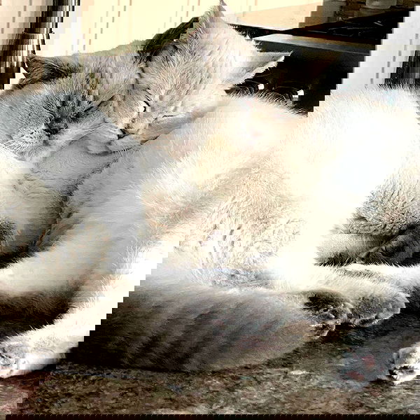 sabrinacarpenter sabrinacarpenter archive image