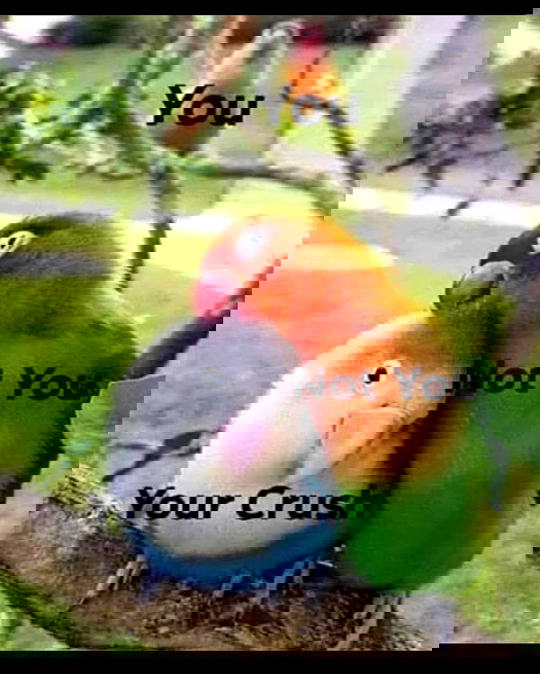 sabrinacarpenter sabrinacarpenter archive image