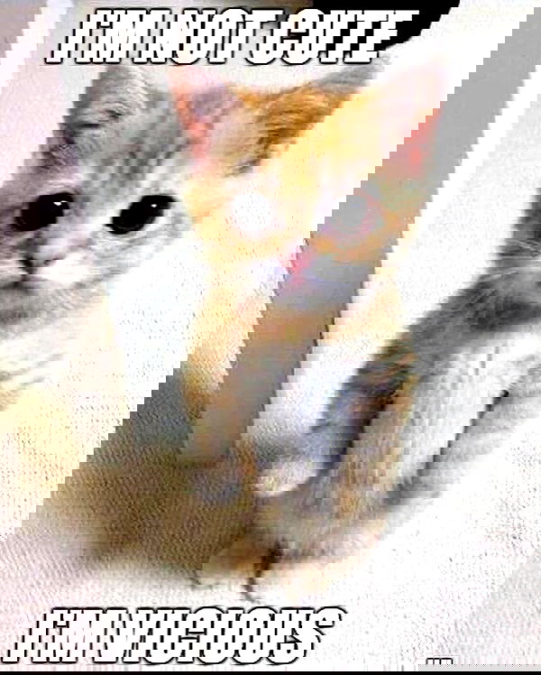 sabrinacarpenter sabrinacarpenter archive image