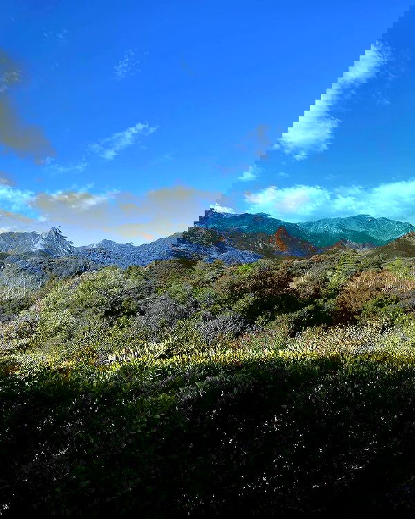 sabrinacarpenter sabrinacarpenter archive image