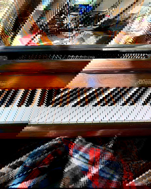 sabrinacarpenter sabrinacarpenter archive image