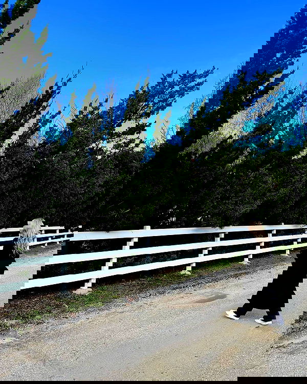 sabrinacarpenter sabrinacarpenter archive image