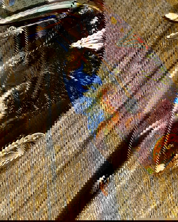 sabrinacarpenter sabrinacarpenter archive image