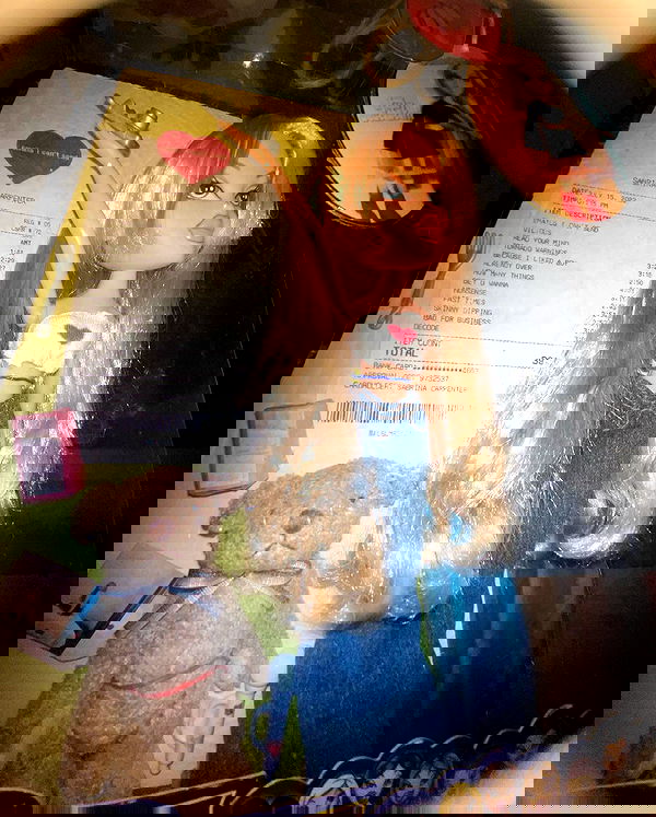 sabrinacarpenter sabrinacarpenter archive image