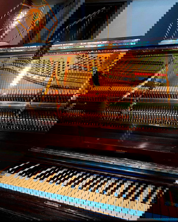 sabrinacarpenter sabrinacarpenter archive image