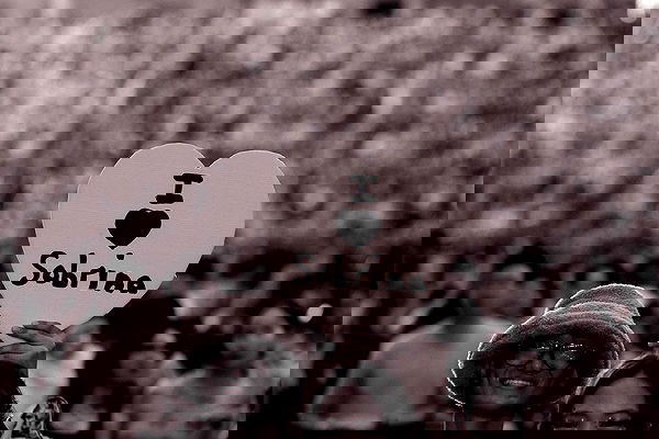 sabrinacarpenter sabrinacarpenter archive image