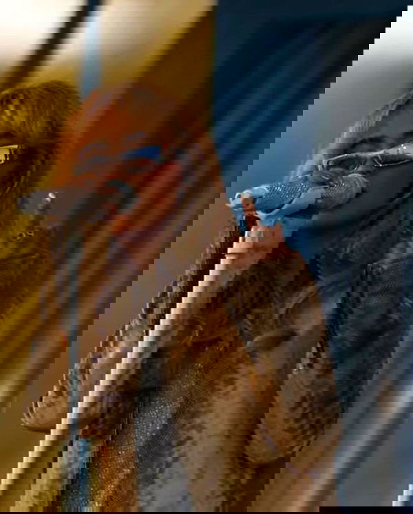 sabrinacarpenter sabrinacarpenter archive image