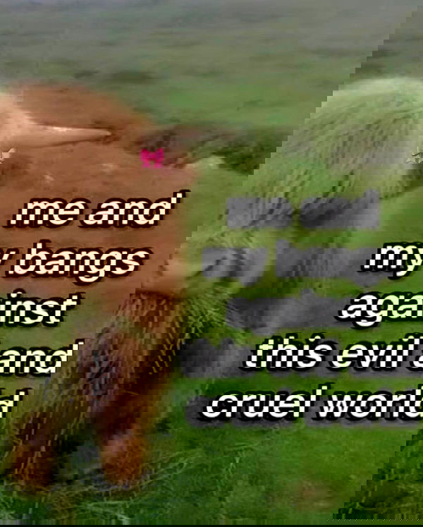 sabrinacarpenter sabrinacarpenter archive image