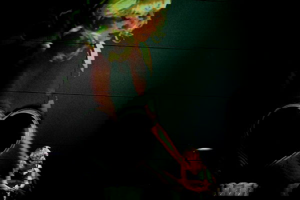 sabrinacarpenter sabrinacarpenter archive image