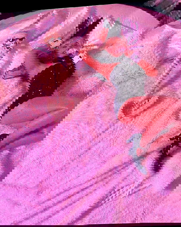 sabrinacarpenter sabrinacarpenter archive image