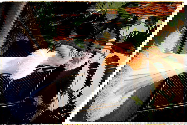 sabrinacarpenter sabrinacarpenter archive image