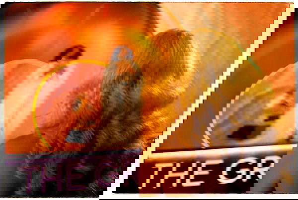 sabrinacarpenter sabrinacarpenter archive image