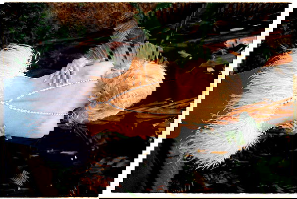 sabrinacarpenter sabrinacarpenter archive image