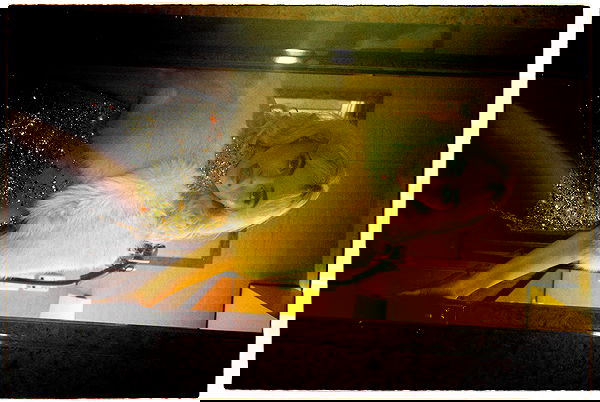 sabrinacarpenter sabrinacarpenter archive image