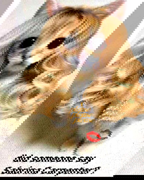 sabrinacarpenter sabrinacarpenter archive image