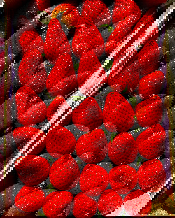 sabrinacarpenter sabrinacarpenter archive image