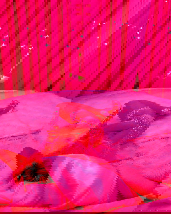 sabrinacarpenter sabrinacarpenter archive image