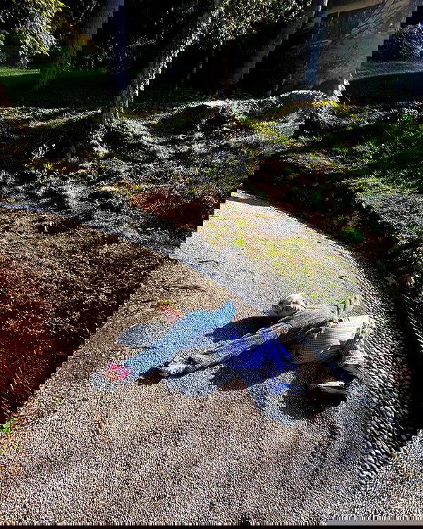 sabrinacarpenter sabrinacarpenter archive image