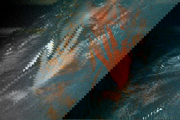 sabrinacarpenter sabrinacarpenter archive image