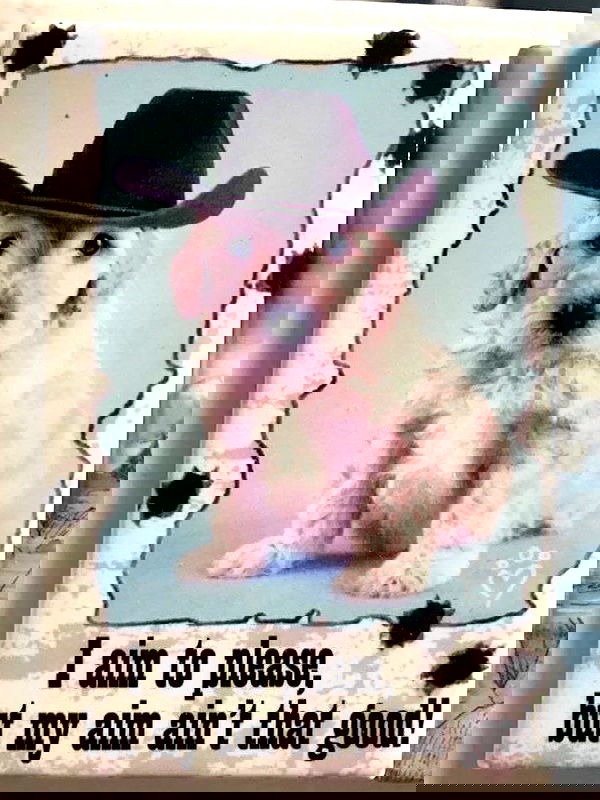 sabrinacarpenter sabrinacarpenter archive image