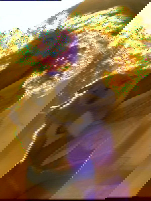 sabrinacarpenter sabrinacarpenter archive image