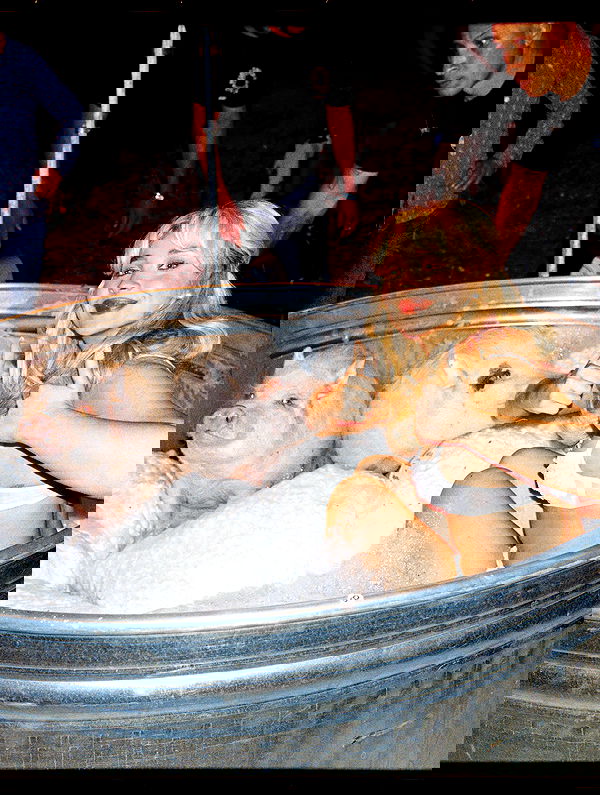 sabrinacarpenter sabrinacarpenter archive image