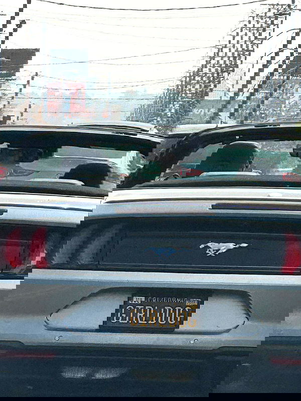 sabrinacarpenter sabrinacarpenter archive image