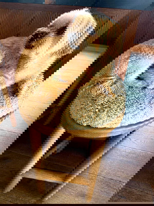 sabrinacarpenter sabrinacarpenter archive image