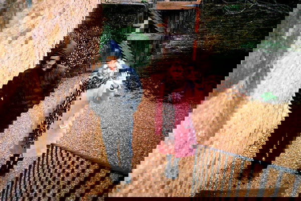 sabrinacarpenter sabrinacarpenter archive image