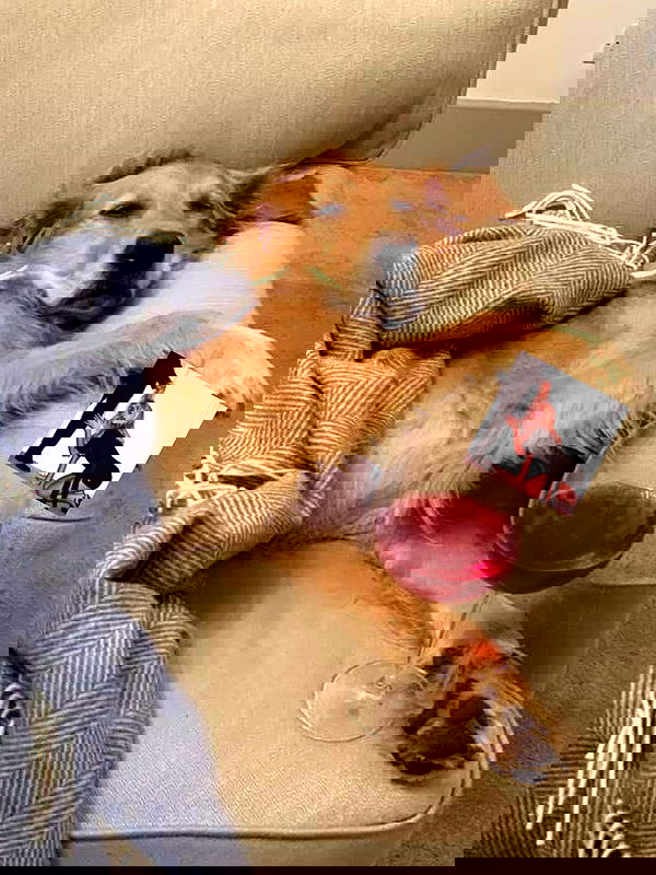 sabrinacarpenter sabrinacarpenter archive image