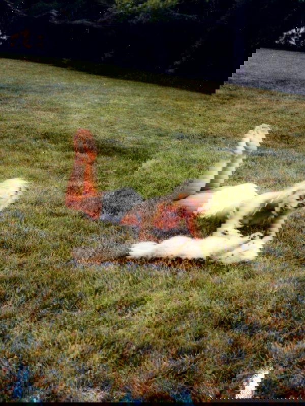 sabrinacarpenter sabrinacarpenter archive image