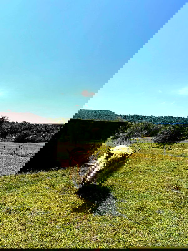 sabrinacarpenter sabrinacarpenter archive image