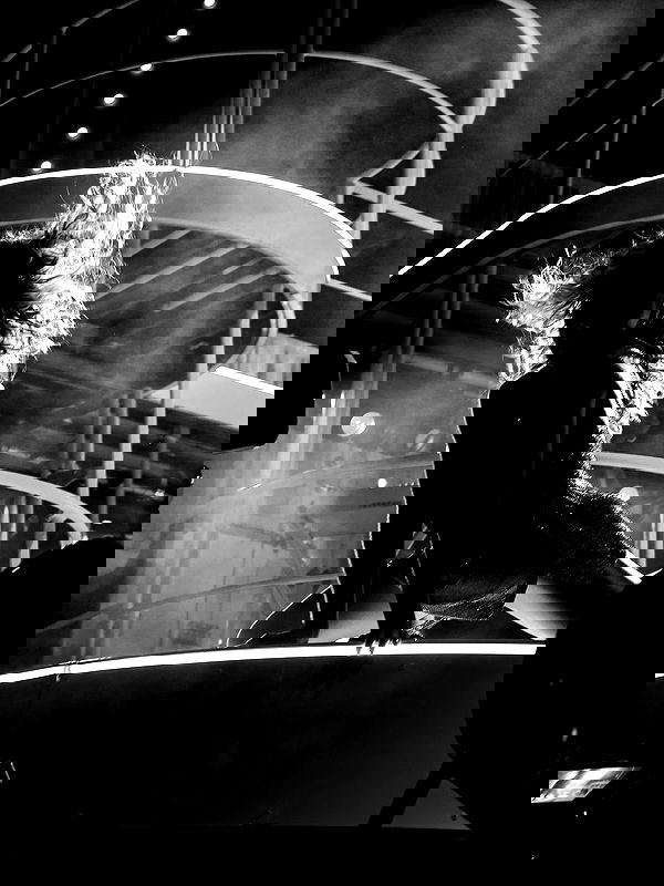 sabrinacarpenter sabrinacarpenter archive image