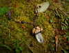 sacred.soul.creations Altpins Profile Picture