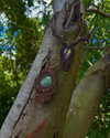 sacred.soul.creations Altpins Profile Picture