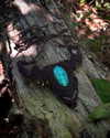sacred.soul.creations Altpins Profile Picture