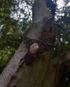 sacred.soul.creations Altpins Profile Picture