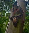 sacred.soul.creations Altpins Profile Picture