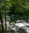 sacred.soul.creations Altpins Profile Picture
