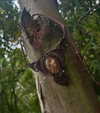 sacred.soul.creations Altpins Profile Picture