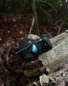 sacred.soul.creations Altpins Profile Picture